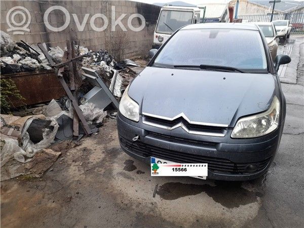 C4 I C4 Picasso, Grand Picasso, Aircross, Cactus  D1561A