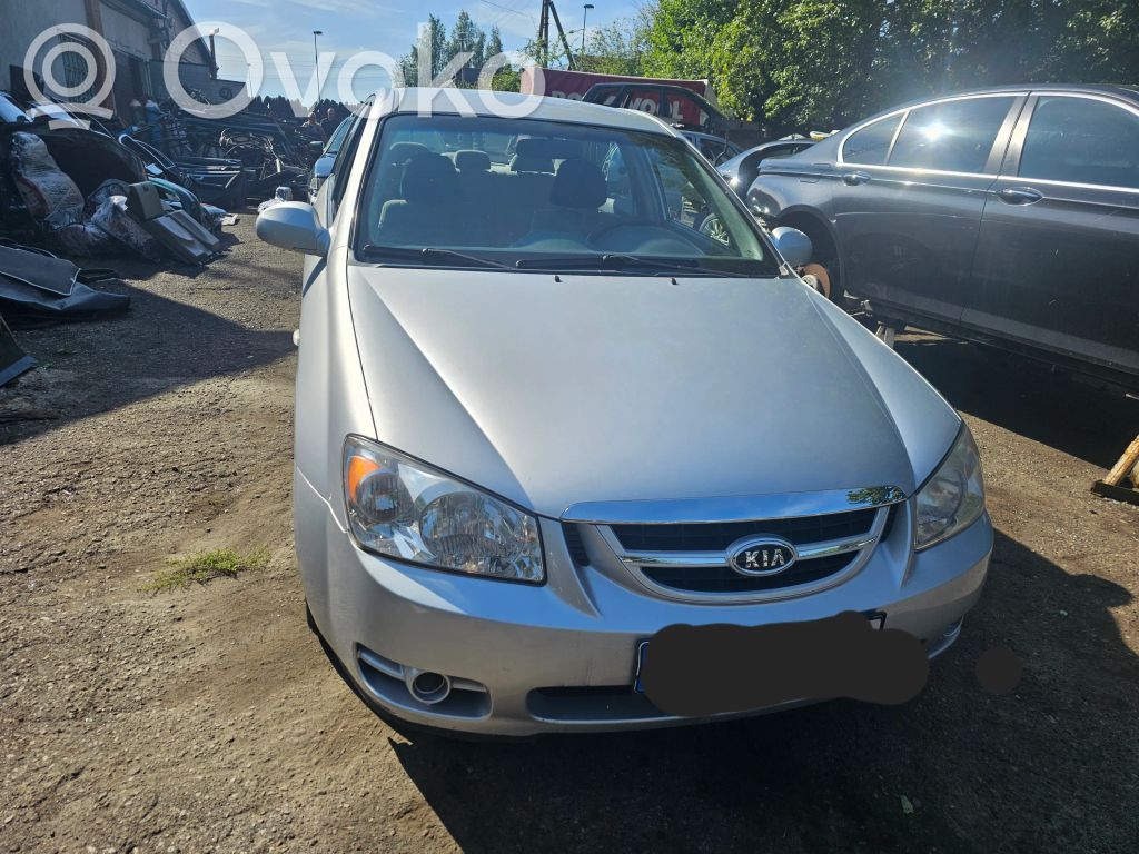 Cerato Cerato
