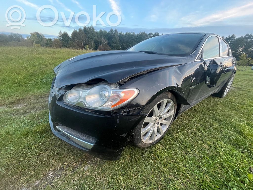 XF X250 XF  2R83F61203