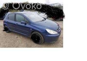 307 307  4007CL