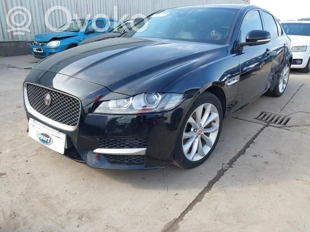 XF XF  GX73430B57AD