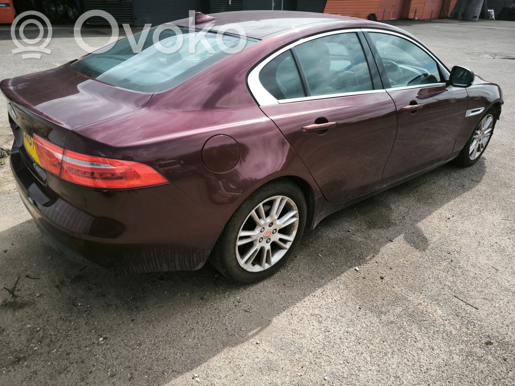 XE XE  43R001589
