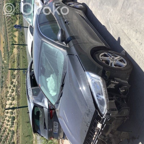Focus Focus  JX613395