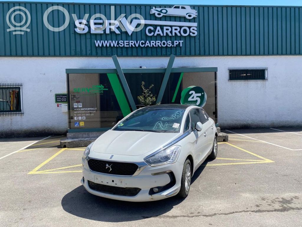 DS5 DS5