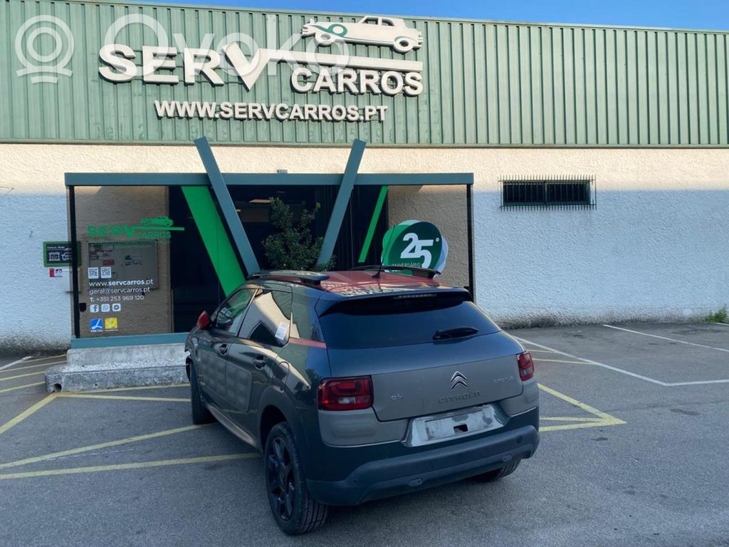 C4 Cactus C4 Picasso, Grand Picasso, Aircross, Cactus