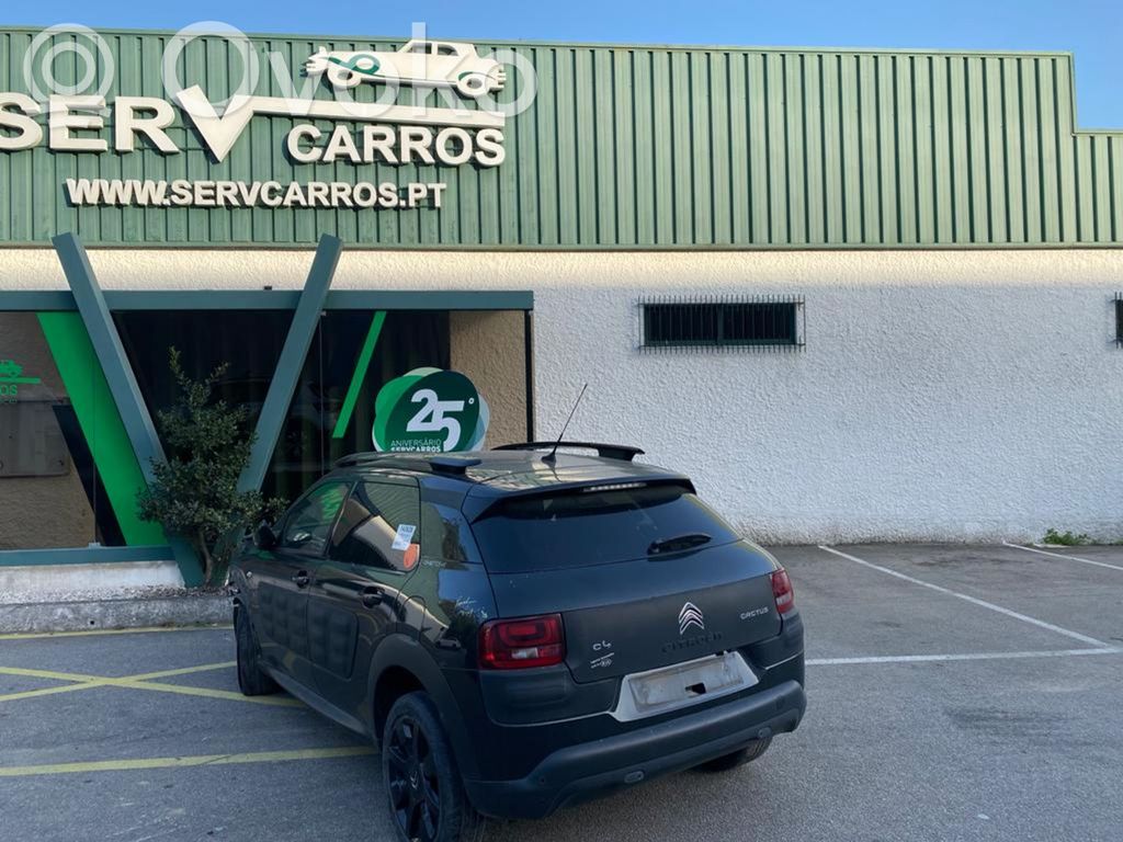 C4 Cactus C4 Picasso, Grand Picasso, Aircross, Cactus