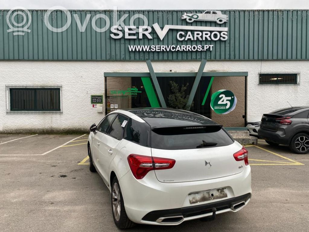 DS5 DS5