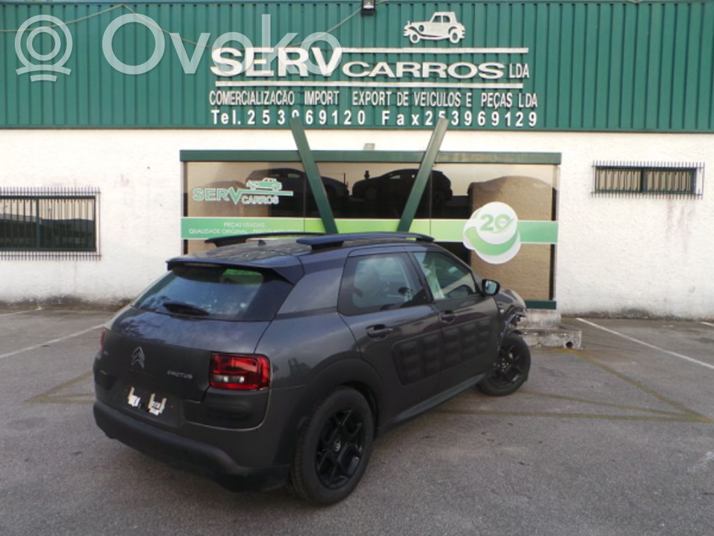 C4 Cactus C4 Picasso, Grand Picasso, Aircross, Cactus