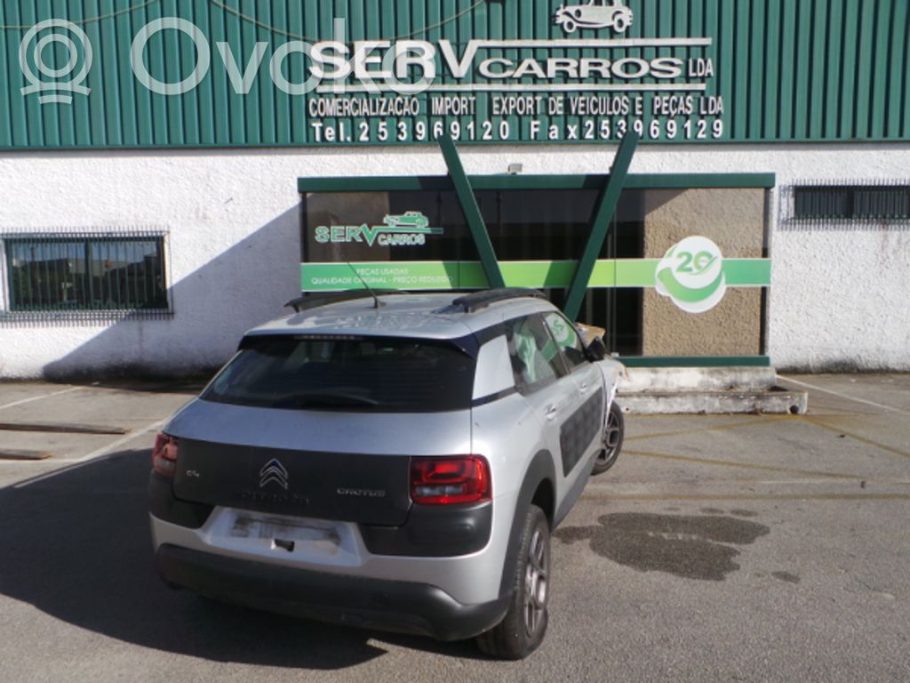 C4 Cactus C4 Picasso, Grand Picasso, Aircross, Cactus