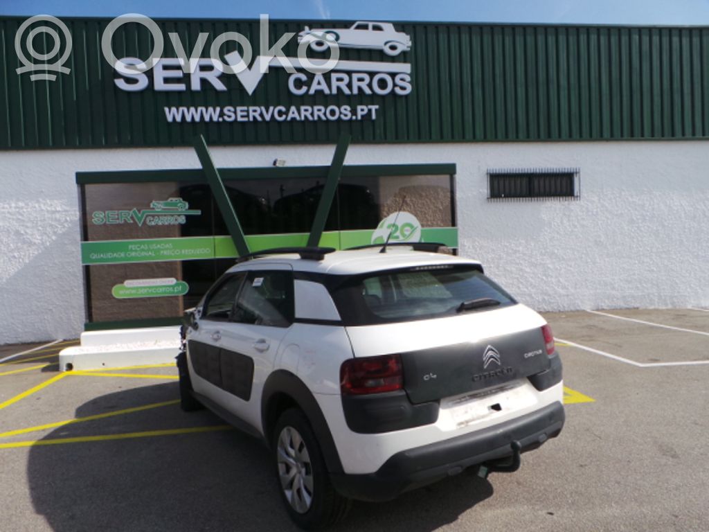 C4 Cactus C4 Picasso, Grand Picasso, Aircross, Cactus