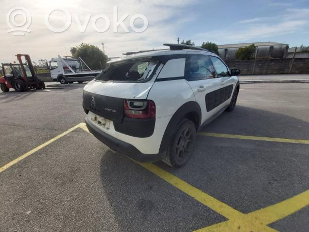 C4 Cactus C4 Picasso, Grand Picasso, Aircross, Cactus