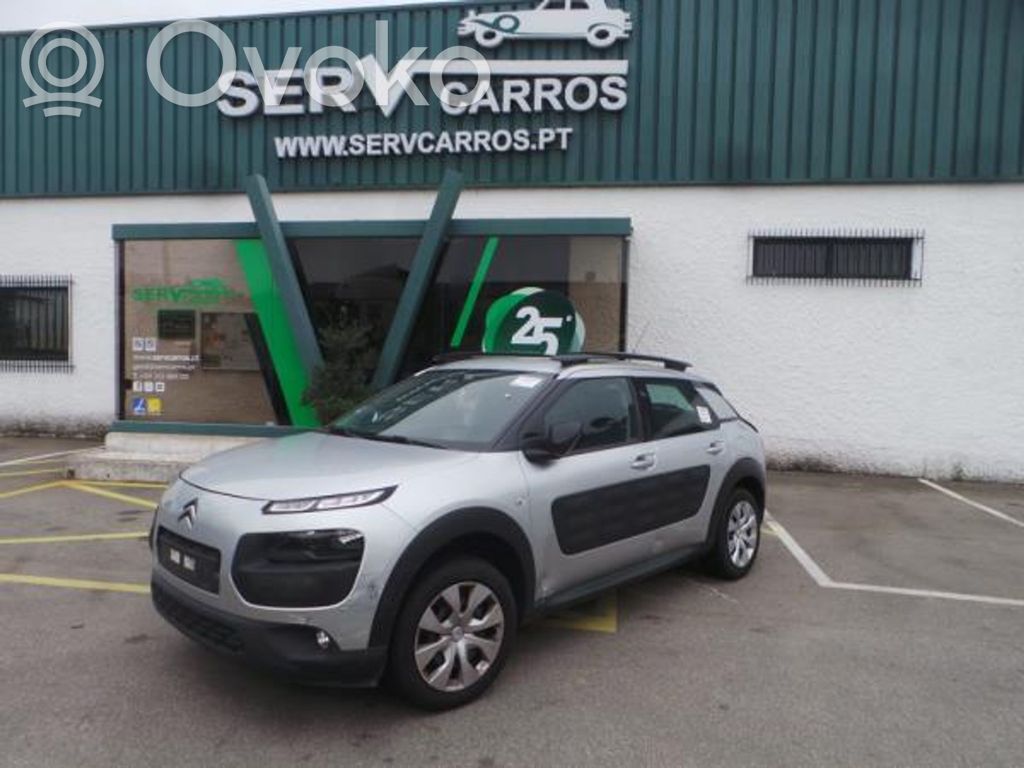 C4 Cactus C4 Picasso, Grand Picasso, Aircross, Cactus