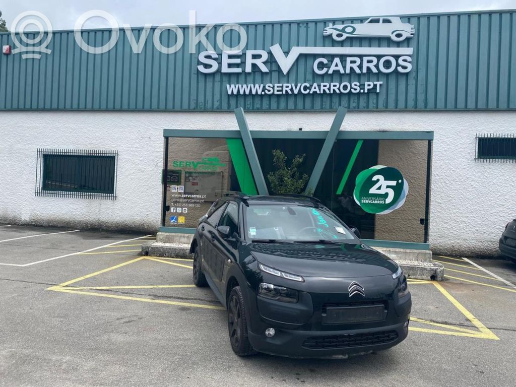 C4 Cactus C4 Picasso, Grand Picasso, Aircross, Cactus