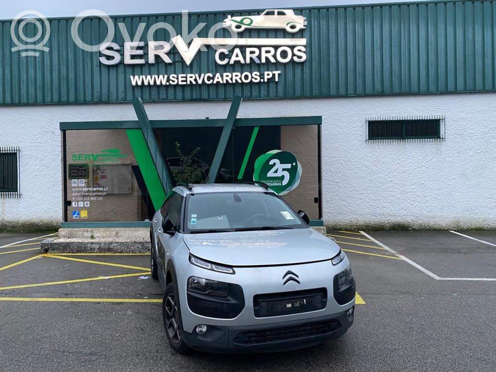 C4 Cactus C4 Picasso, Grand Picasso, Aircross, Cactus