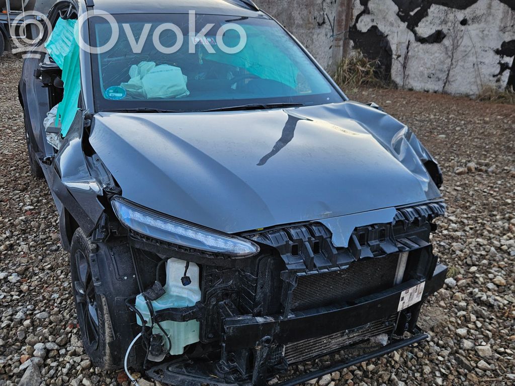 Kona I Kona  3921007PD0