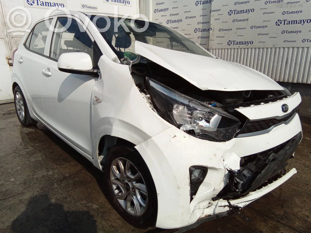 Picanto Picanto  3910704291