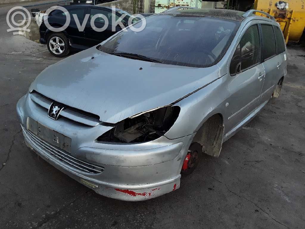 307 307  5WS40281AT