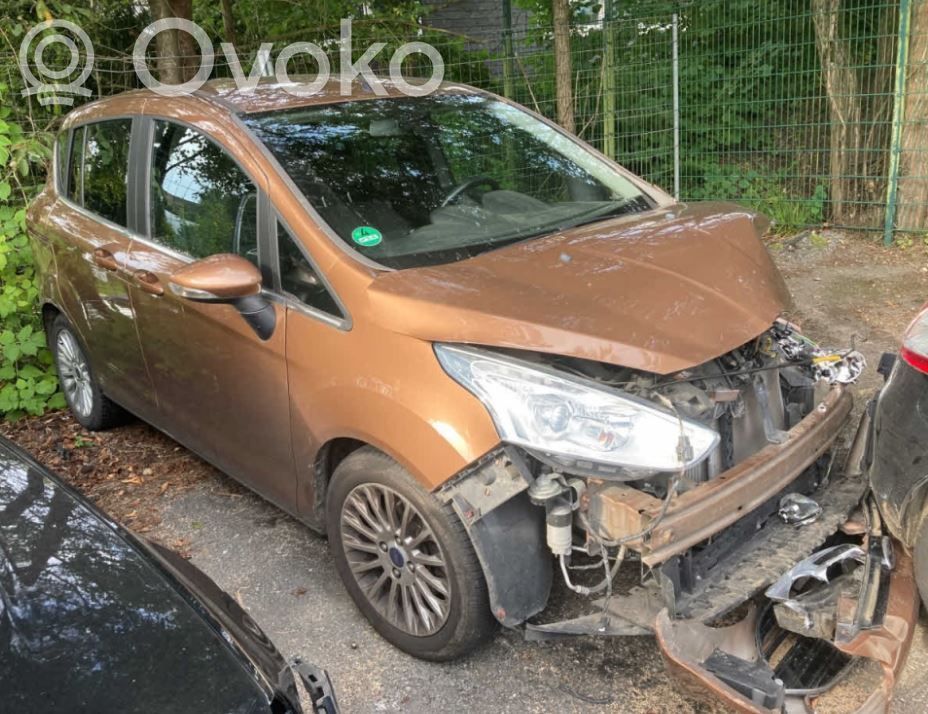 Fiesta Fiesta  AV11R22465