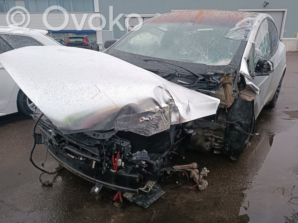 Model X Tesla Model X  9902