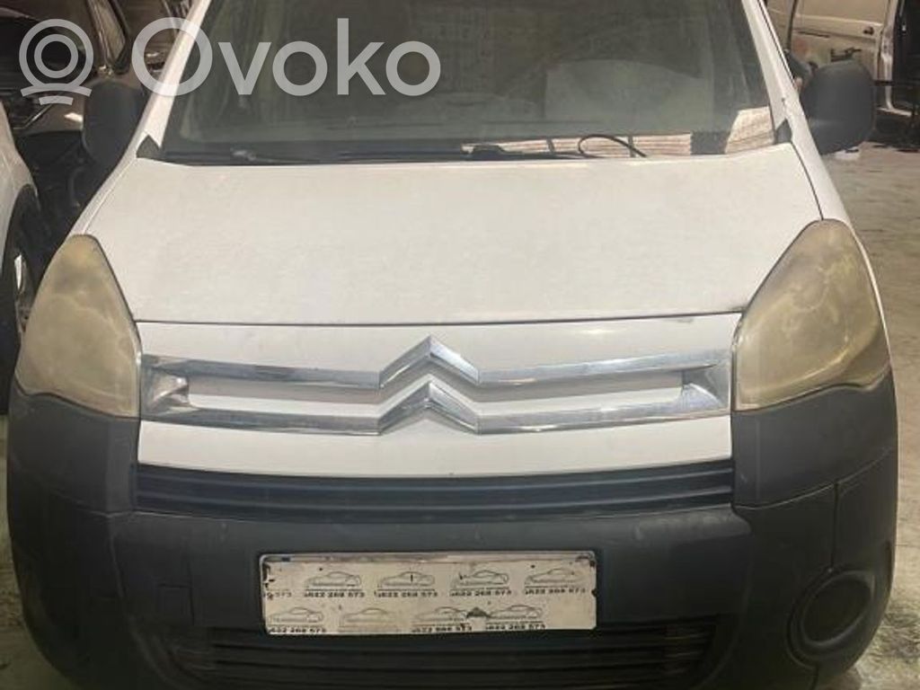 Berlingo Berlingo  96658429XT