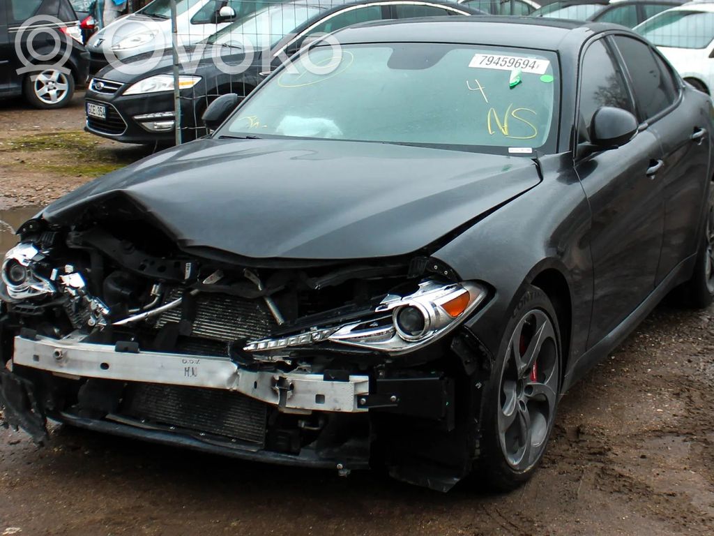 Giulia Giulia  50539798
