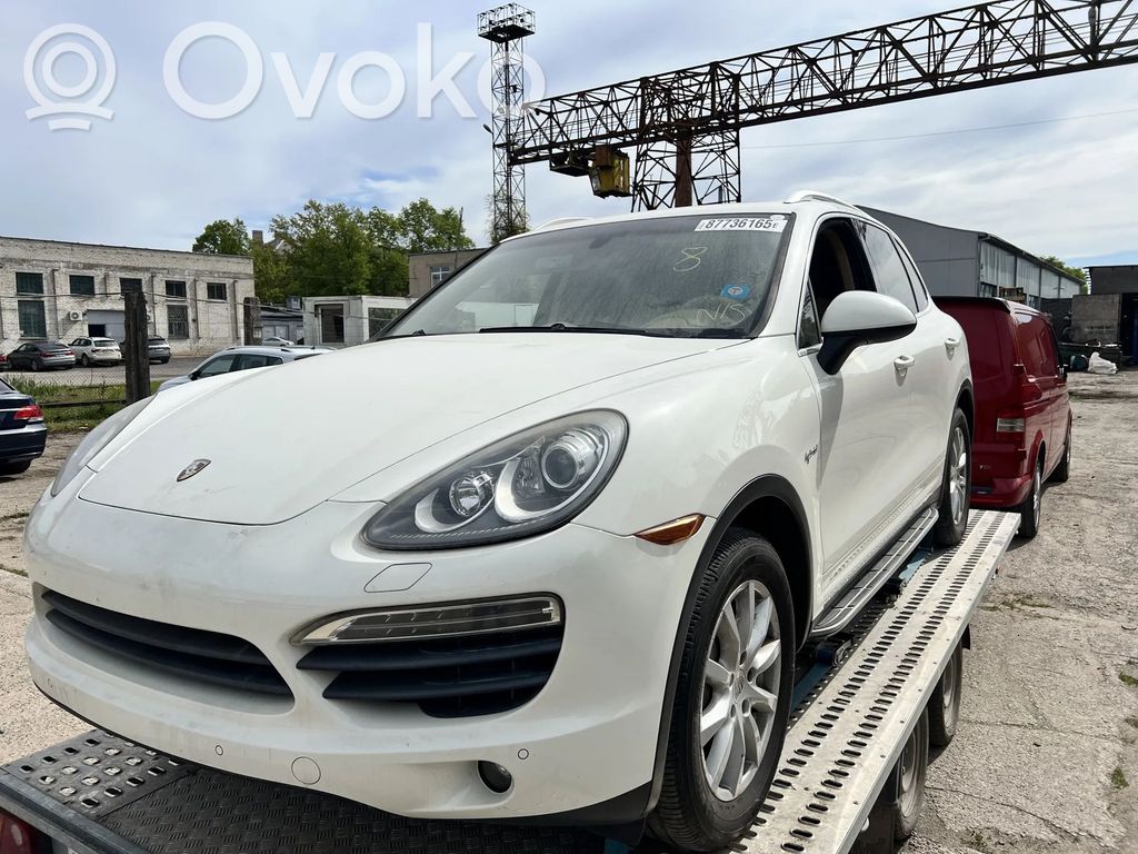 Cayenne (92A) Cayenne  MXP