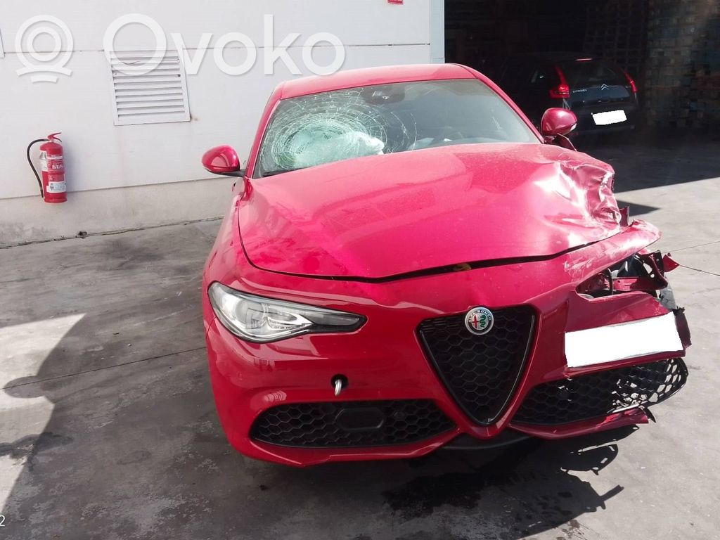 Giulia Giulia  505455530