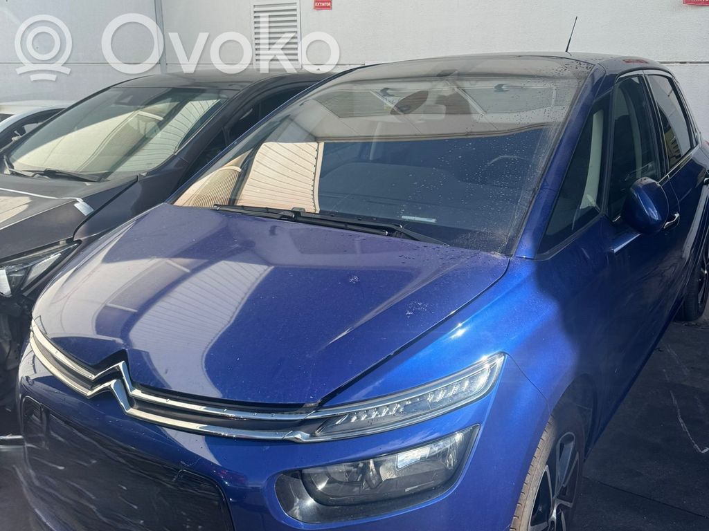 C4 Cactus C4 Picasso, Grand Picasso, Aircross, Cactus  9677280477
