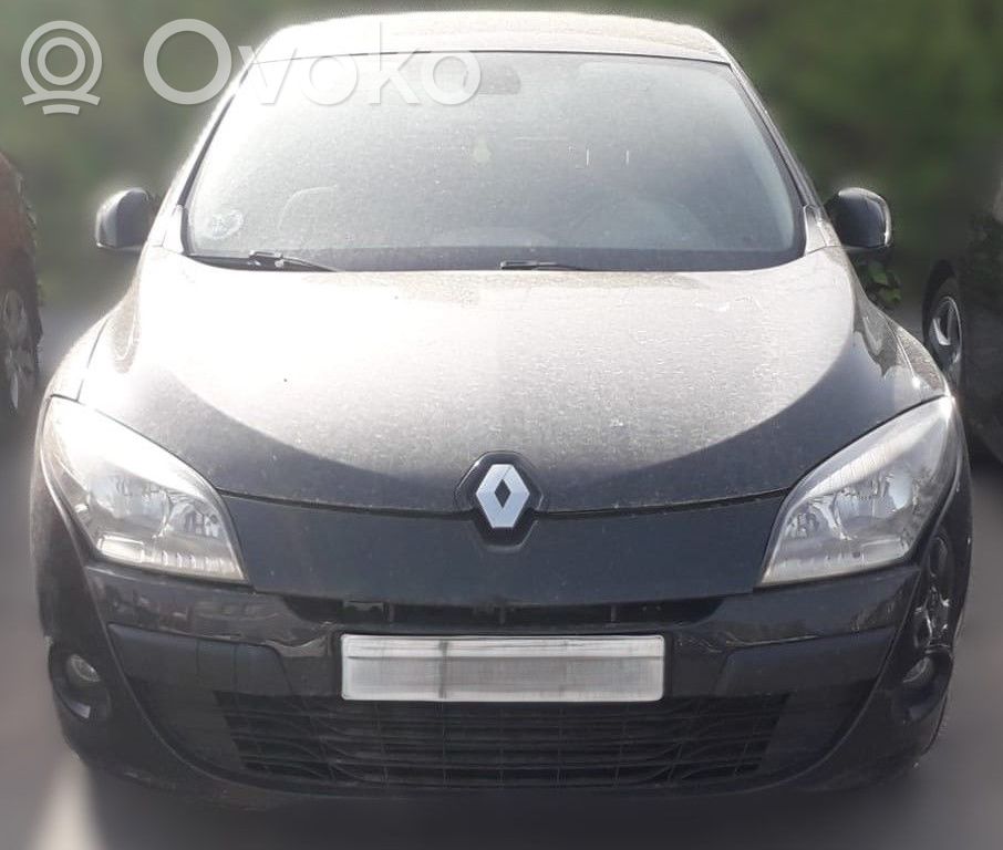 Megane III Megane  0124525534