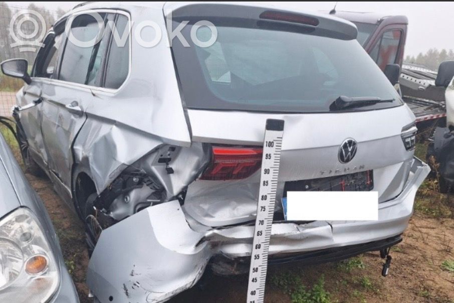 Tiguan Tiguan  5NA885805BT