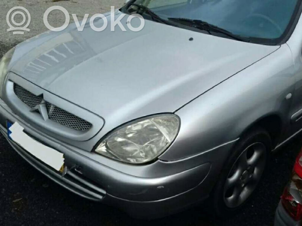Xsara Xsara, Xsara Picasso