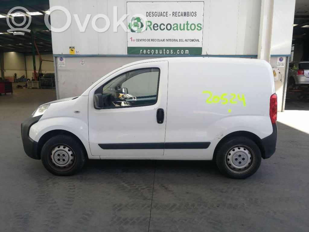 Nemo Nemo  51962893