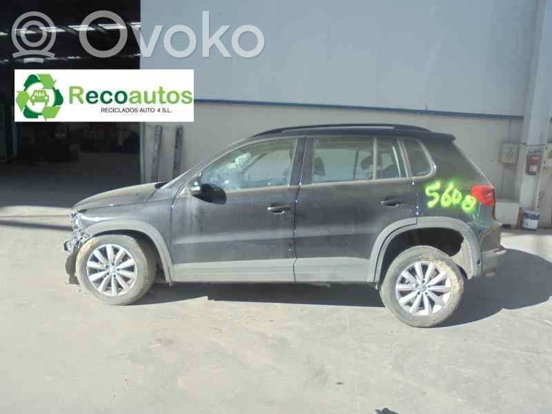 Tiguan Tiguan  03L906088BJ