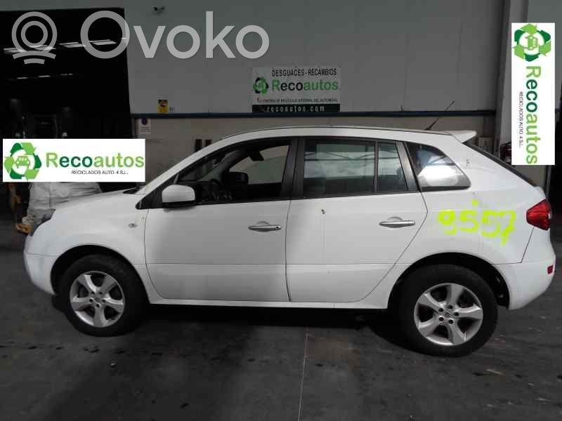 Koleos I Koleos  2577034