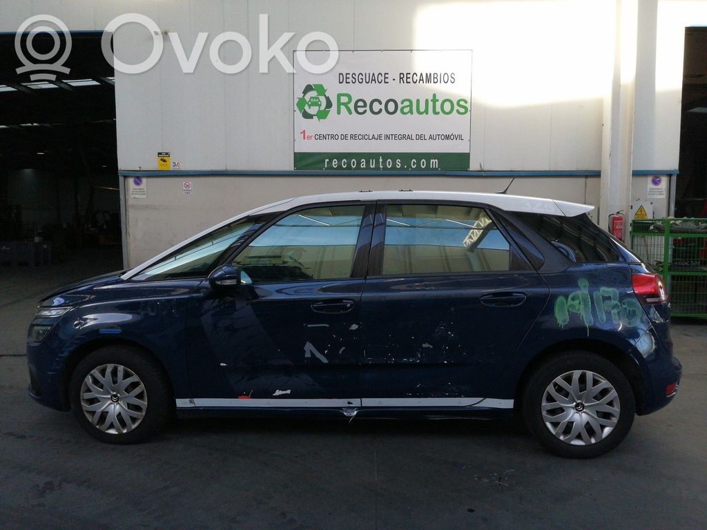 C4 Cactus C4 Picasso, Grand Picasso, Aircross, Cactus  9850364680