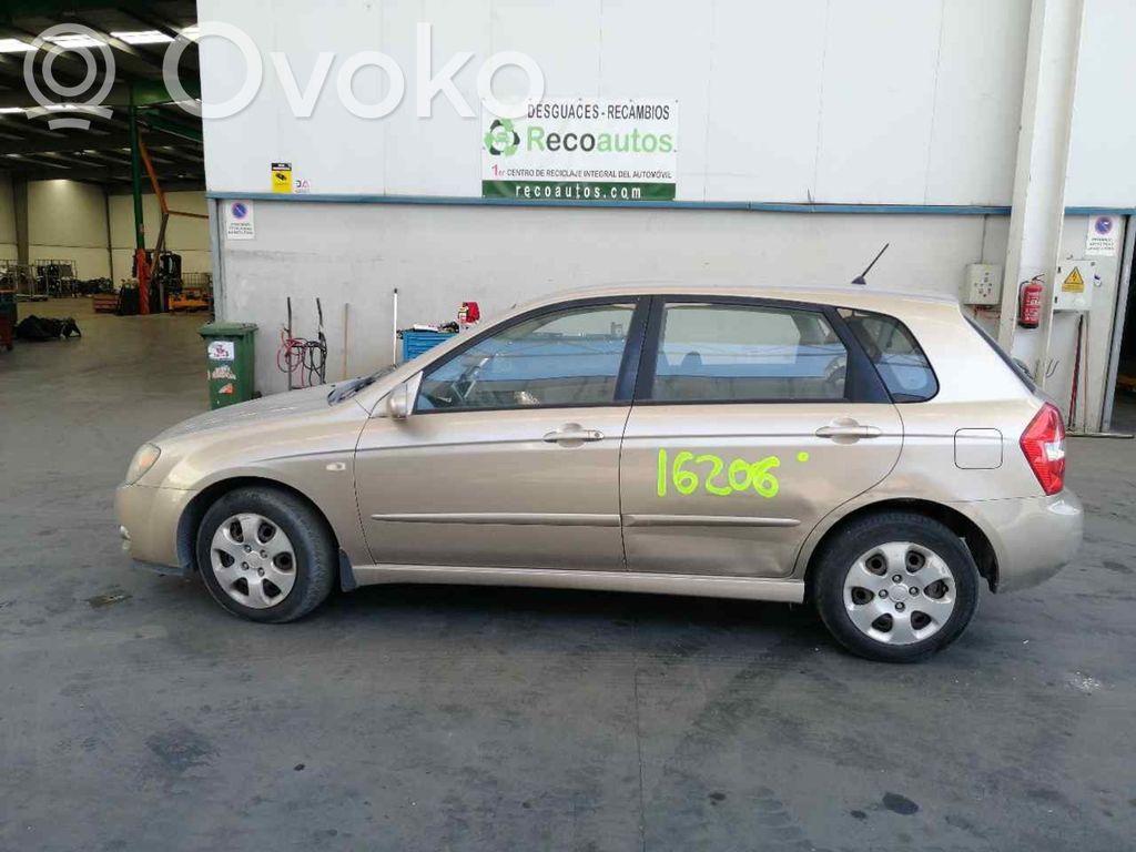 Cerato Cerato  934152F010