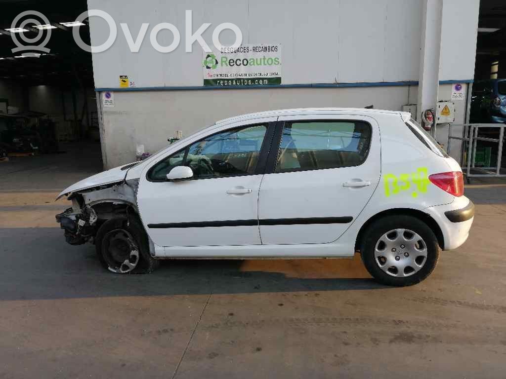 307 307  9651942480