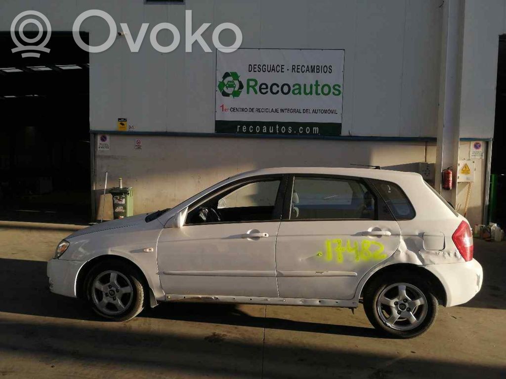 Cerato Cerato  3910327061