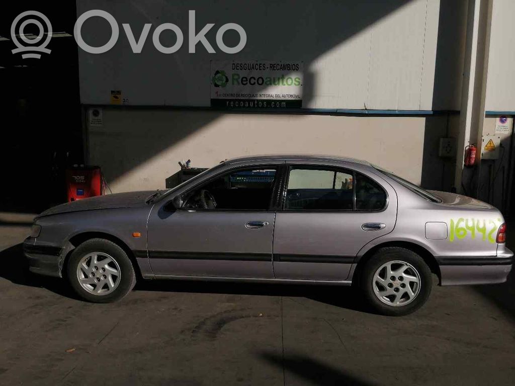 Maxima Maxima  NSB1057