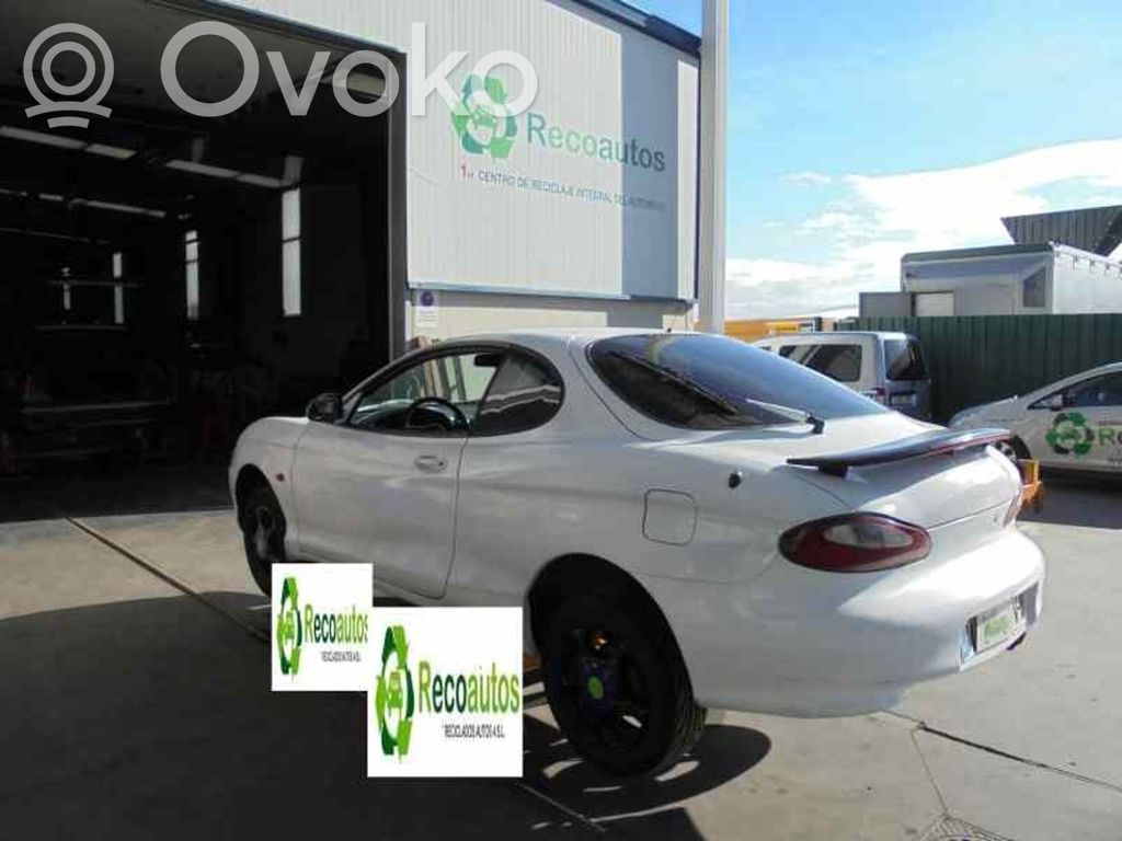 Coupe Coupe  3914023745