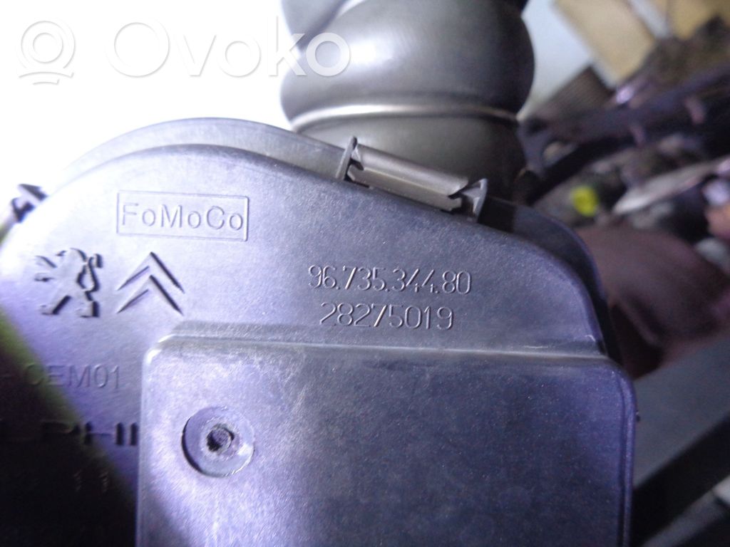 Focus Focus  98ABA611B68