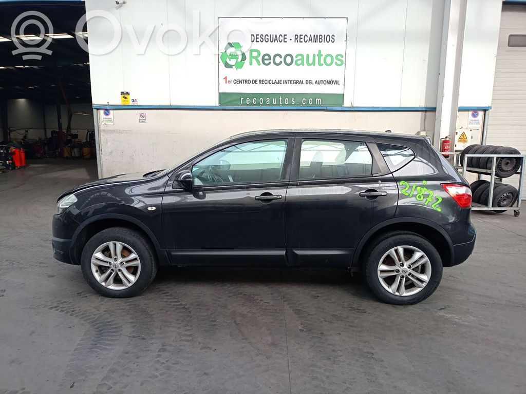 Qashqai Qashqai, Qashqai+2  1106000Q0S