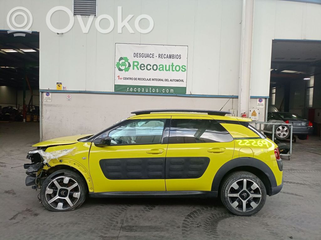 C4 Cactus C4 Picasso, Grand Picasso, Aircross, Cactus  1611428480