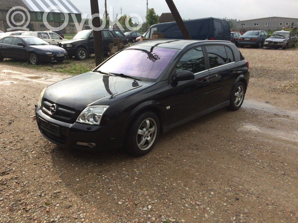 Signum Signum  RDB60502
