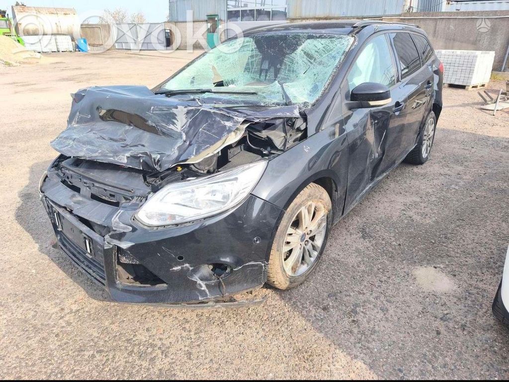Focus Focus  AV613K170