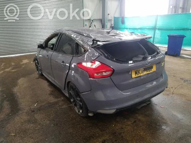 Focus Focus  1137328881