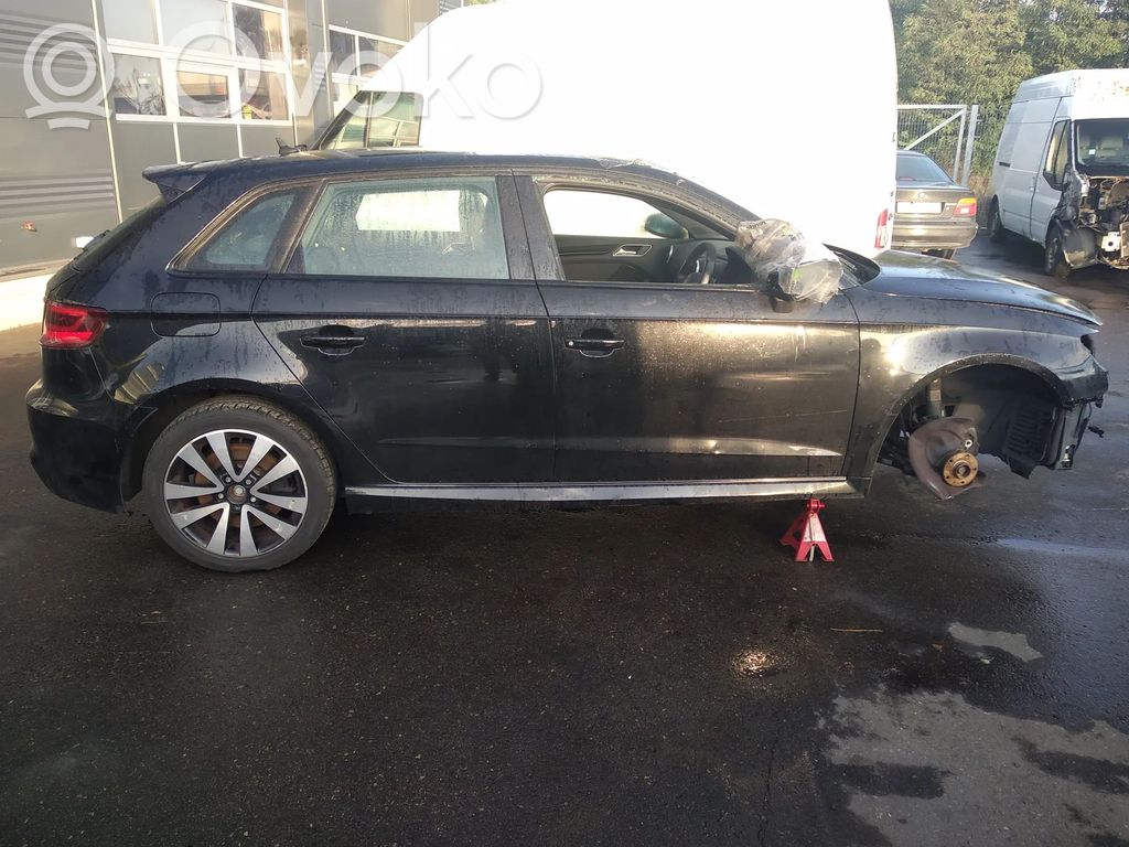 RS3 RS3  07K906262B