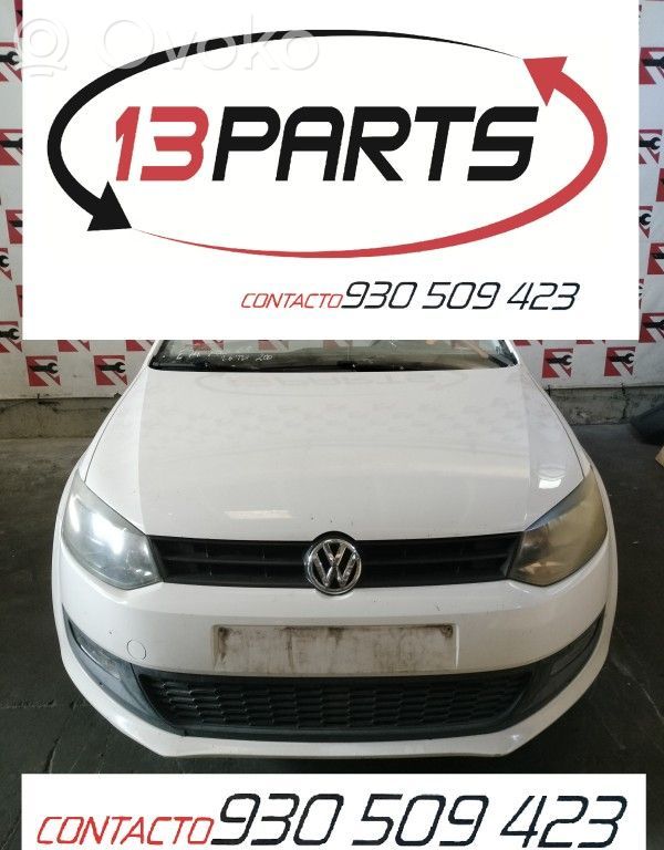 Polo V 6R Polo