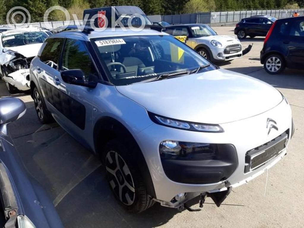 C4 Cactus C4 Picasso, Grand Picasso, Aircross, Cactus  9686038280