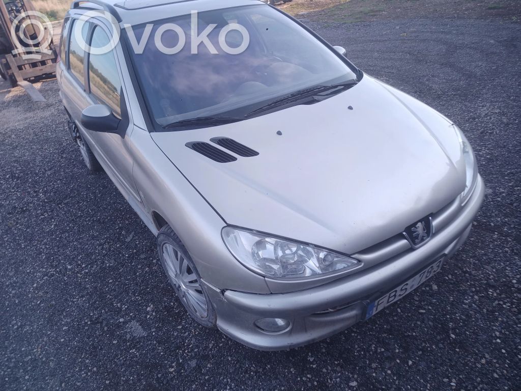 206 206, 206+  96373745ZL